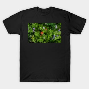 Cedar Breaks Flora T-Shirt